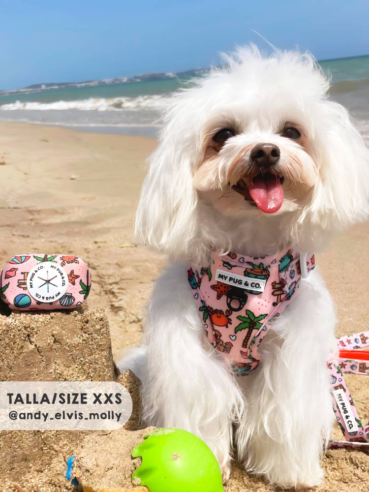 Arnés Ajustable Beach Day - MyPug&Co