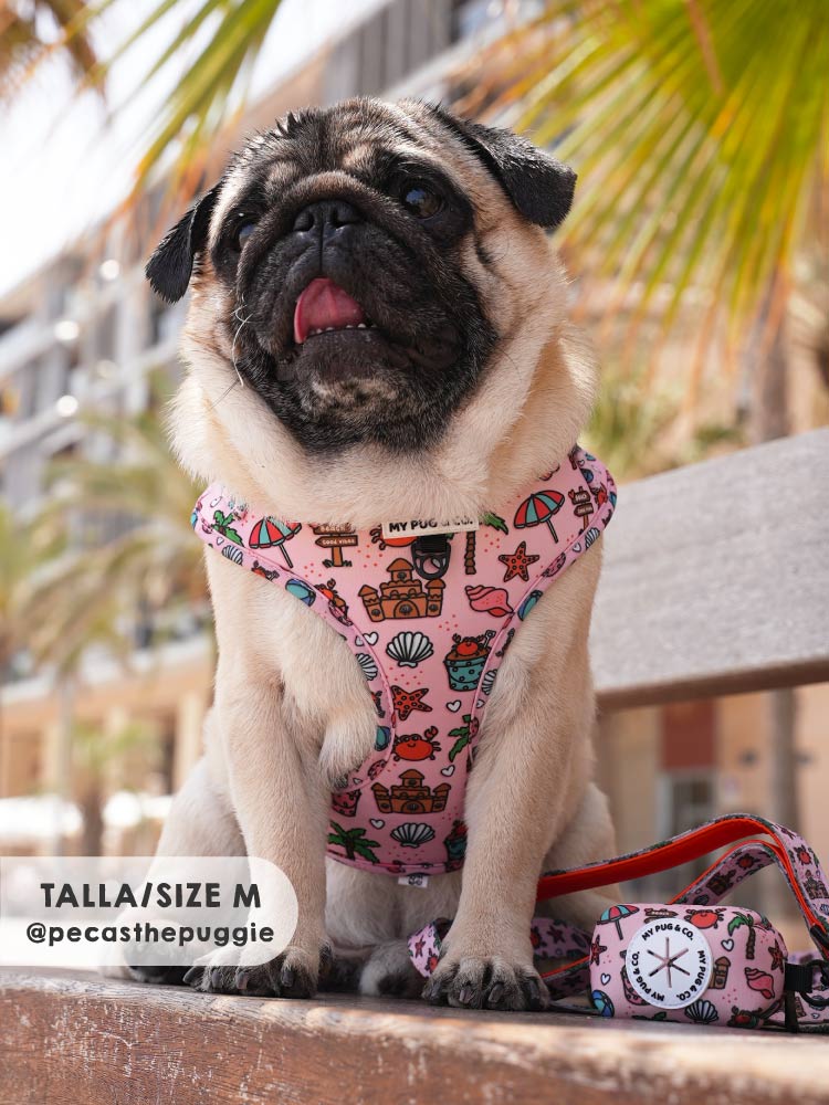 Arnés Ajustable Beach Day - MyPug&Co