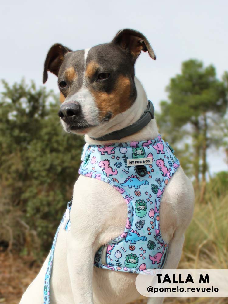Arnés Ajustable Doggysaurus - MyPug&Co