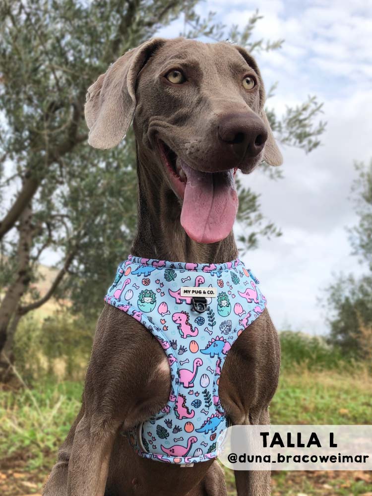 Arnés Ajustable Doggysaurus - MyPug&Co
