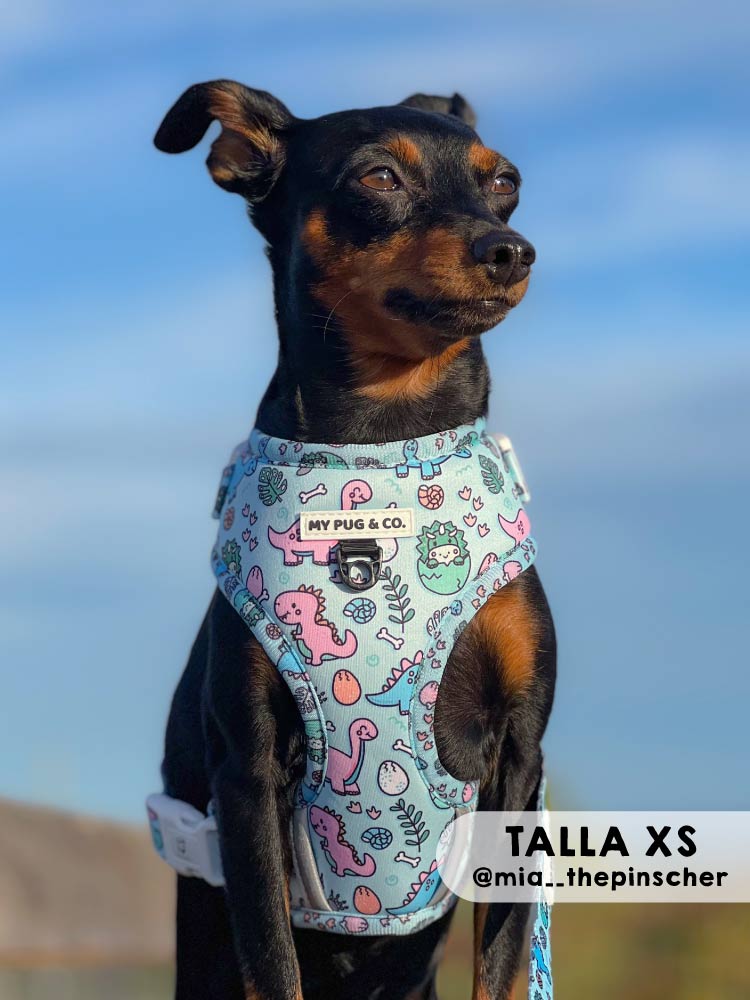 Arnés Ajustable Doggysaurus - MyPug&Co