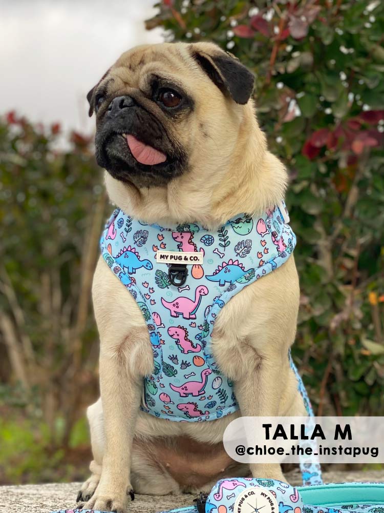 Arnés Ajustable Doggysaurus - MyPug&Co