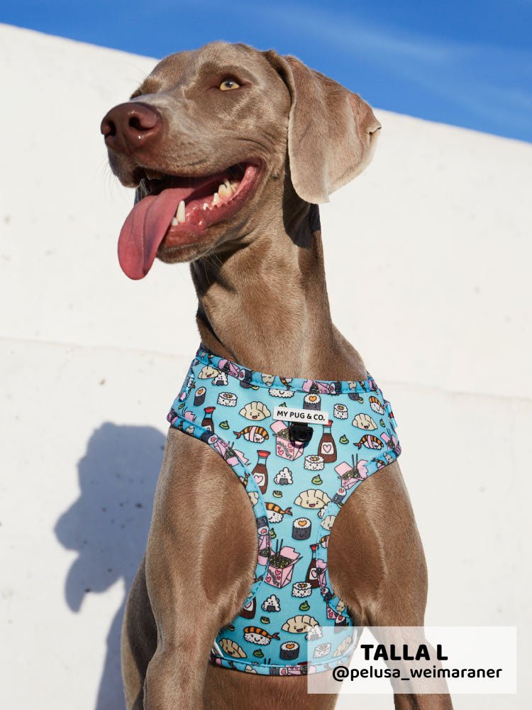 Arnés Ajustable Sushi - MyPug&Co