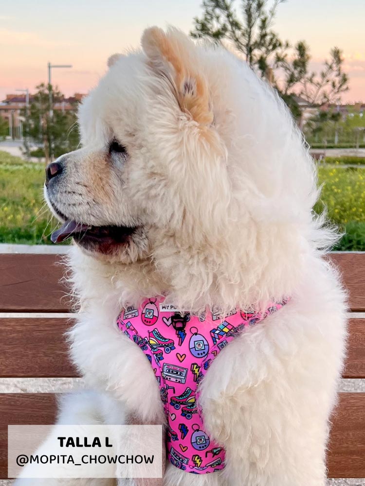 Arnés Ajustable 90’s Baby - MyPug&Co