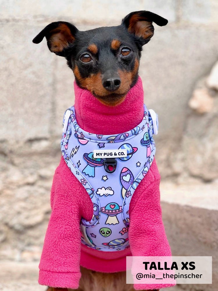 Arnés Ajustable Aliens Exist - MyPug&Co