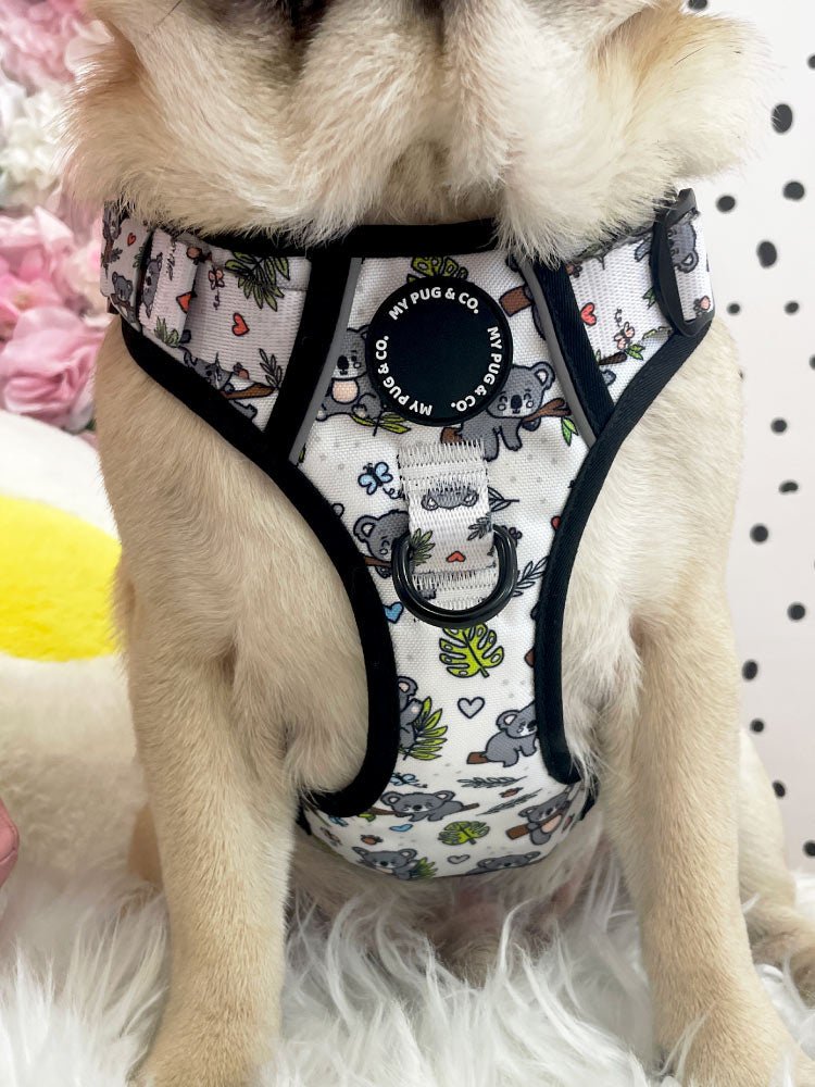 Arnés Todoterreno Lazy Koala - MyPug&Co