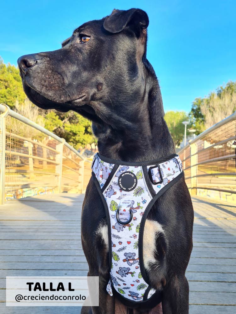 Arnés Todoterreno Lazy Koala - MyPug&Co
