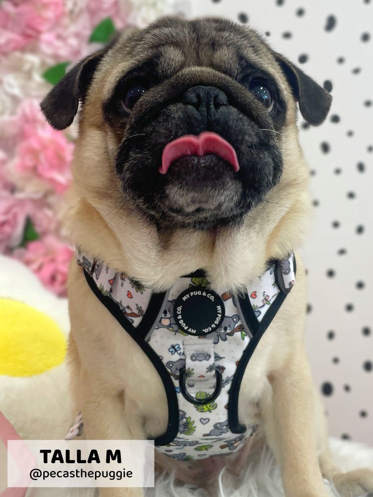 Arnés Todoterreno Lazy Koala - MyPug&Co