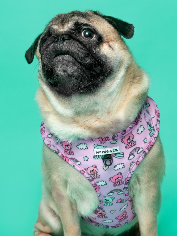 Arnés Ajustable Teddy Bears - MyPug&Co