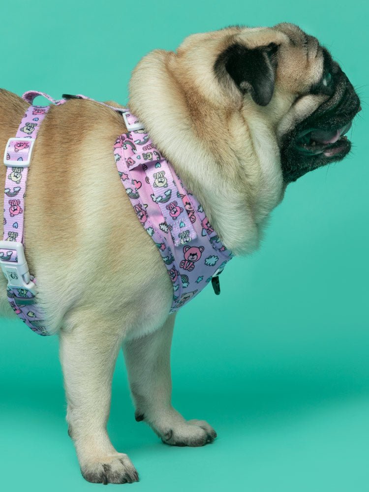 Arnés Ajustable Teddy Bears - MyPug&Co
