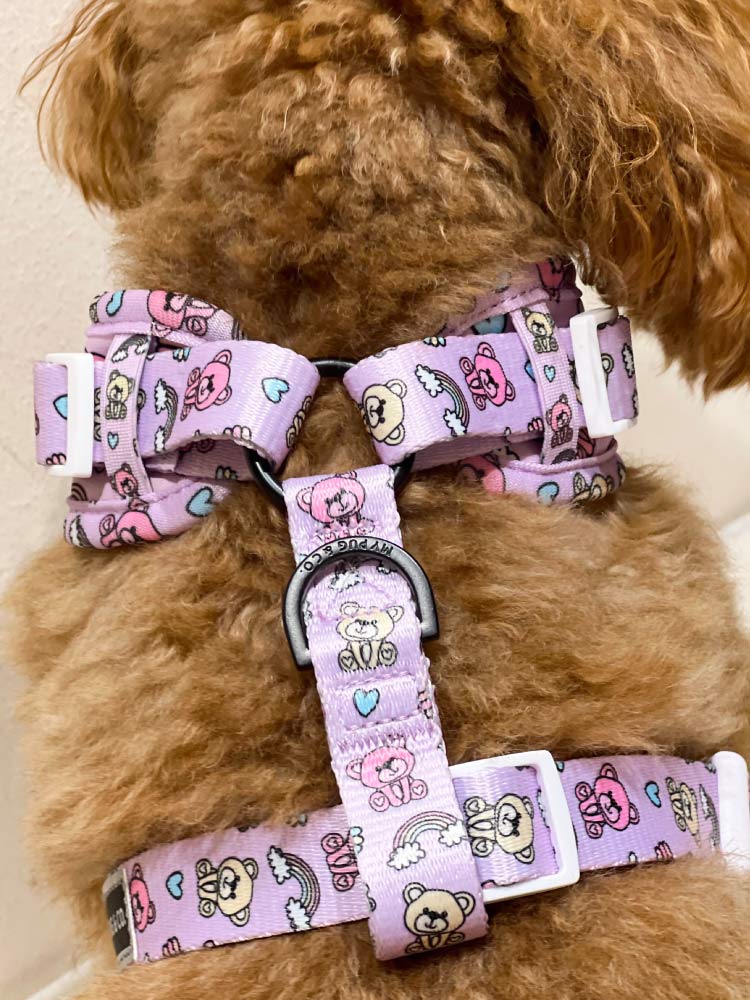Arnés Ajustable Teddy Bears - MyPug&Co