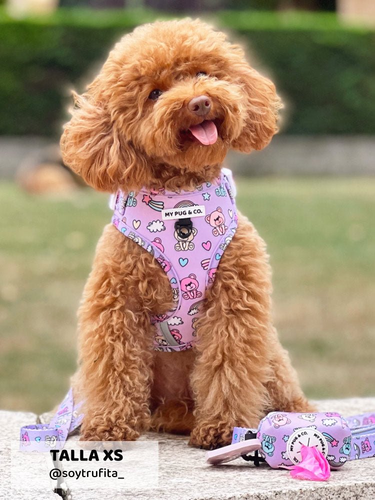 Arnés Ajustable Teddy Bears - MyPug&Co