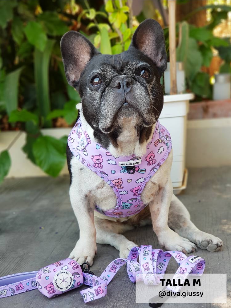 Arnés Ajustable Teddy Bears - MyPug&Co