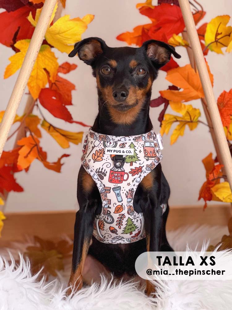 Arnés Ajustable Pumpkin Spice - MyPug&Co