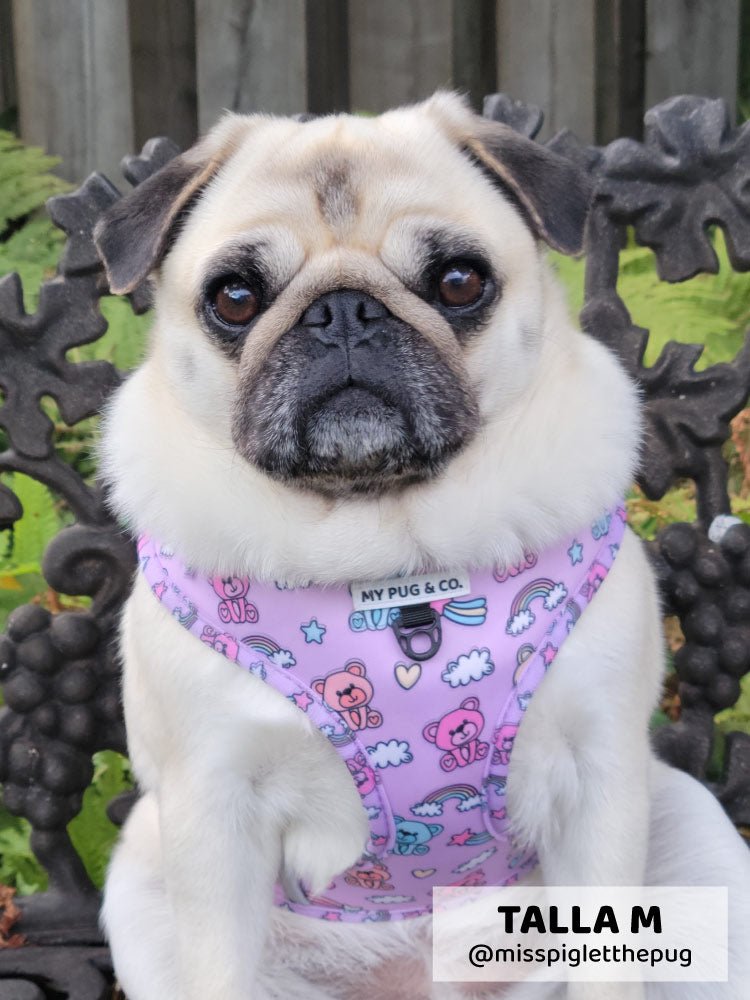 Arnés Ajustable Teddy Bears - MyPug&Co