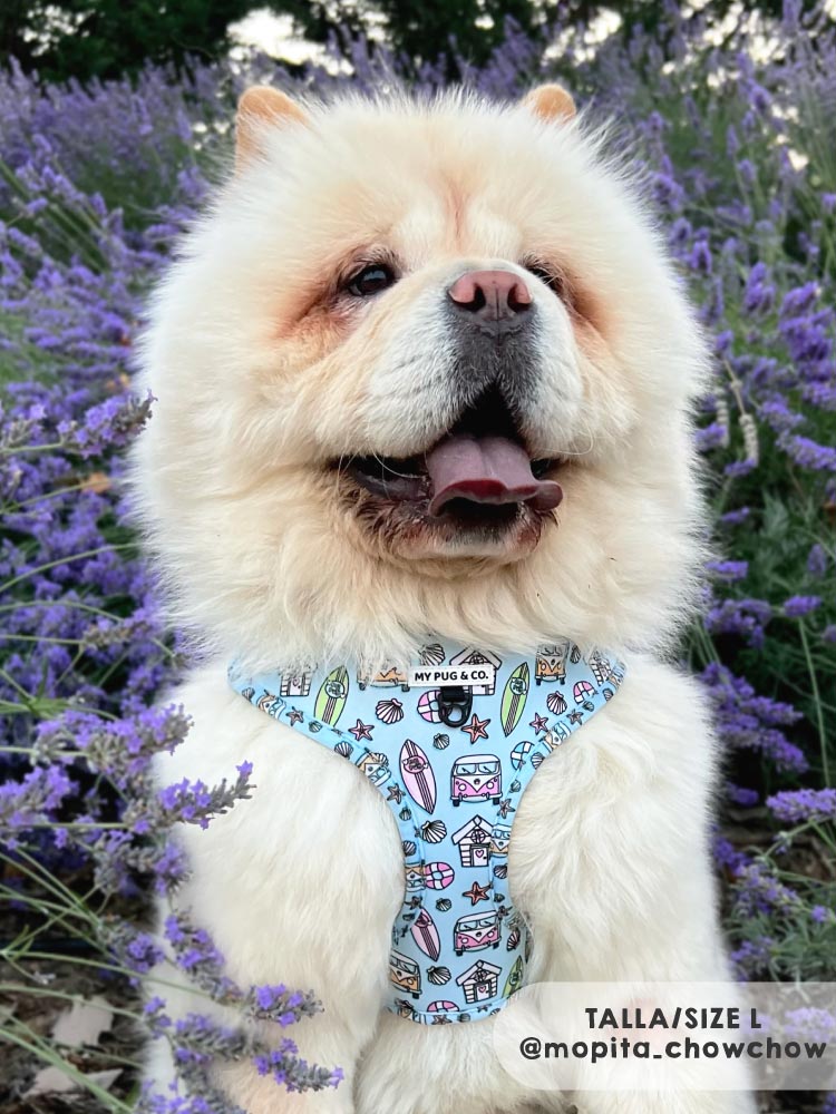 Arnés Ajustable Surf - MyPug&Co