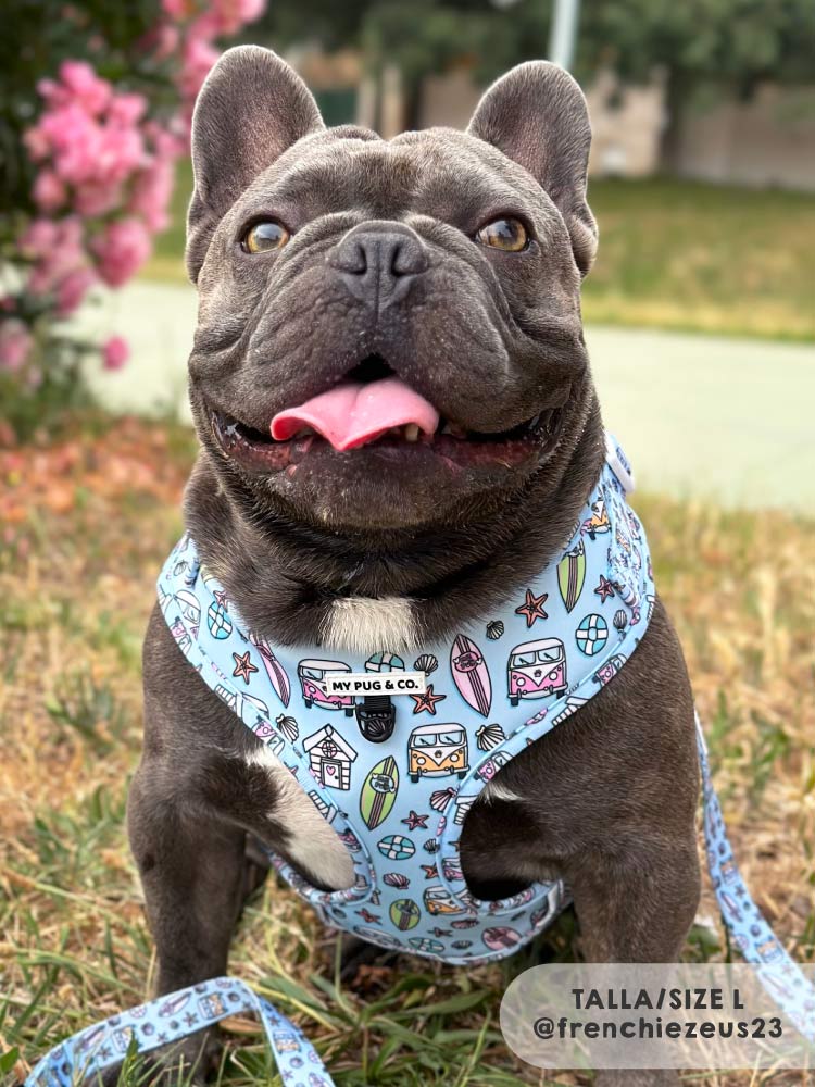 Arnés Ajustable Surf - MyPug&Co