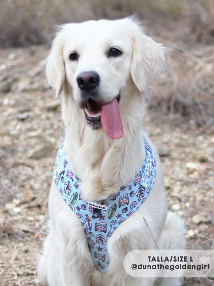 Arnés Ajustable Surf - MyPug&Co