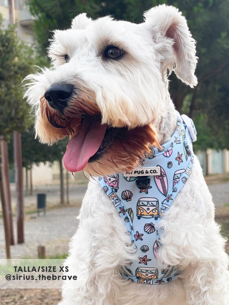 Arnés Ajustable Surf - MyPug&Co