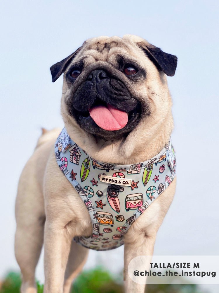 Arnés Ajustable Surf - MyPug&Co