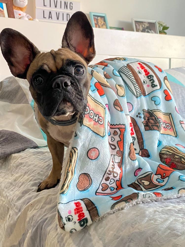 Manta Pugtella - MyPug&Co