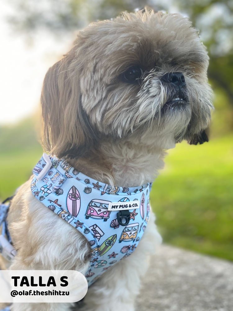 Arnés Ajustable Surf - MyPug&Co