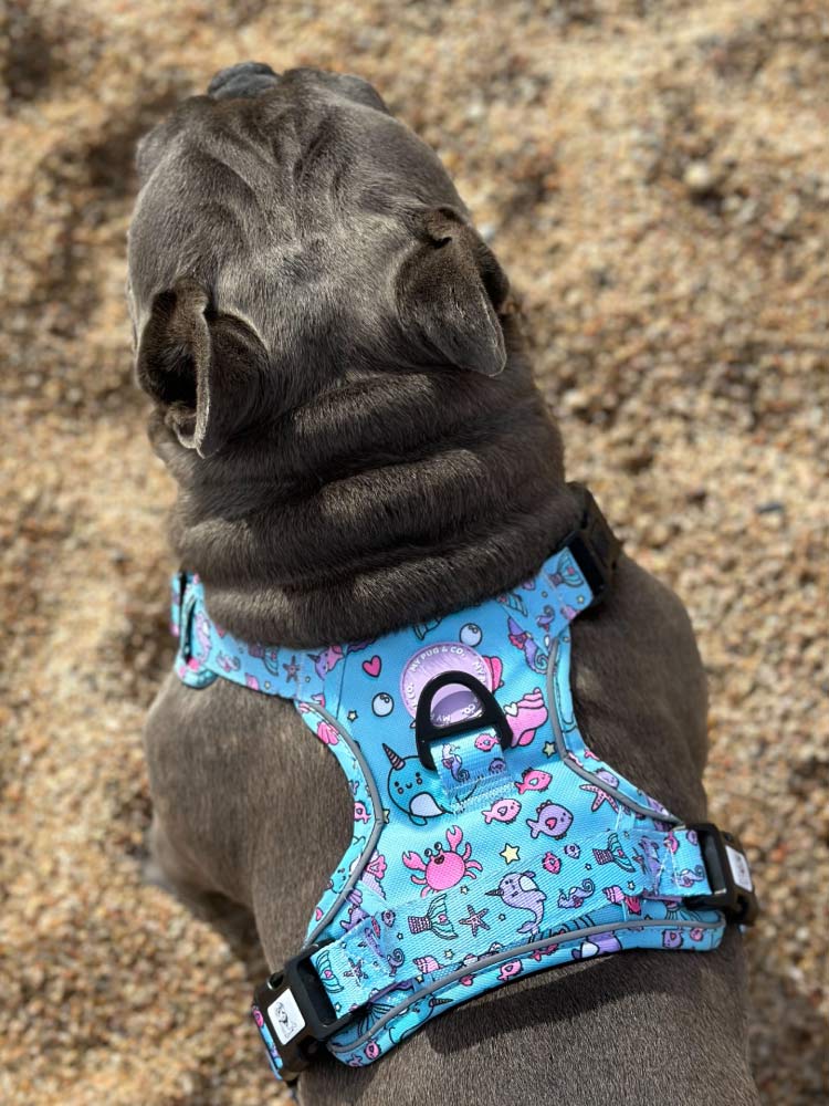Arnés Todoterreno Sirena - MyPug&Co