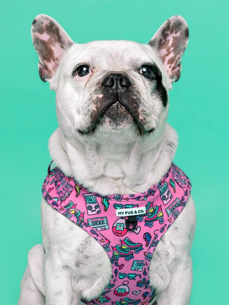 Arnés Ajustable 90’s Baby - MyPug&Co