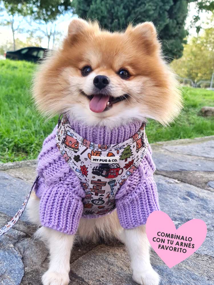 Jersey Lila - MyPug&Co
