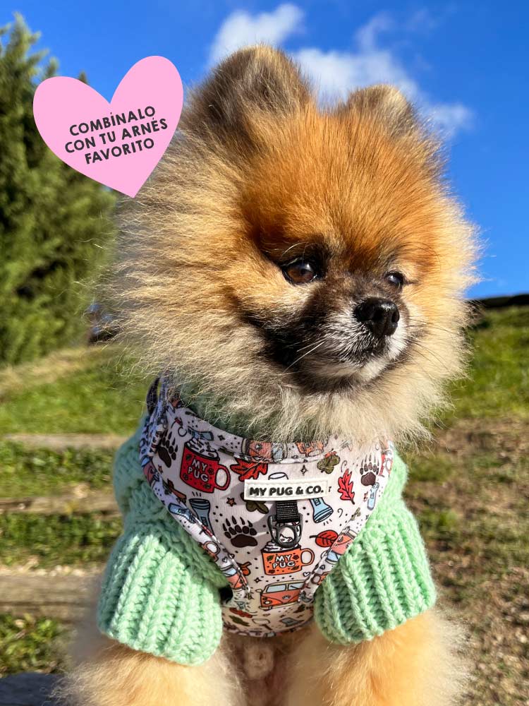 Jersey Menta - MyPug&Co