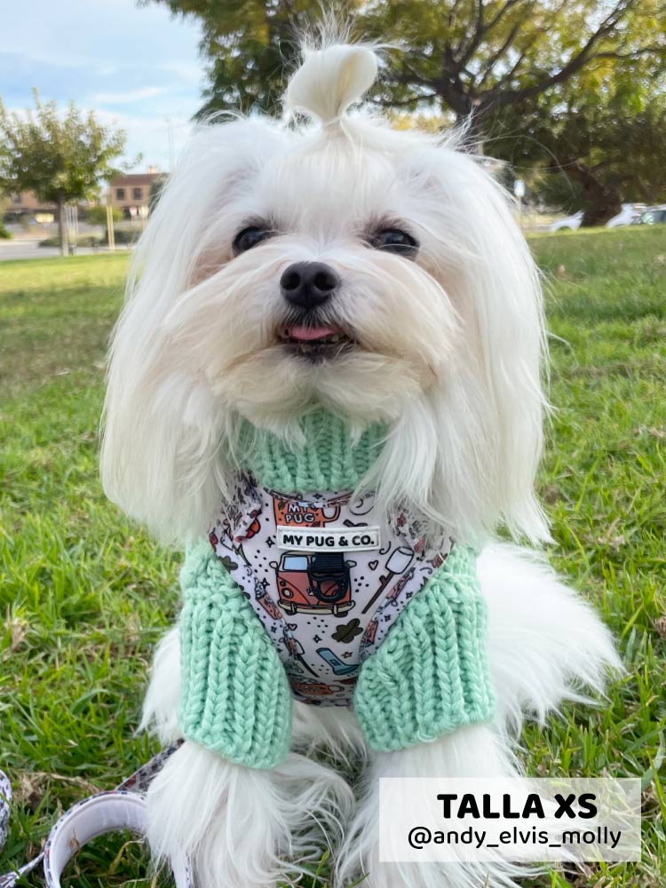 Jersey Menta - MyPug&Co