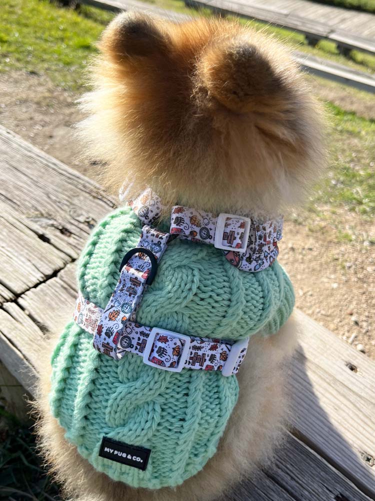 Jersey Menta - MyPug&Co