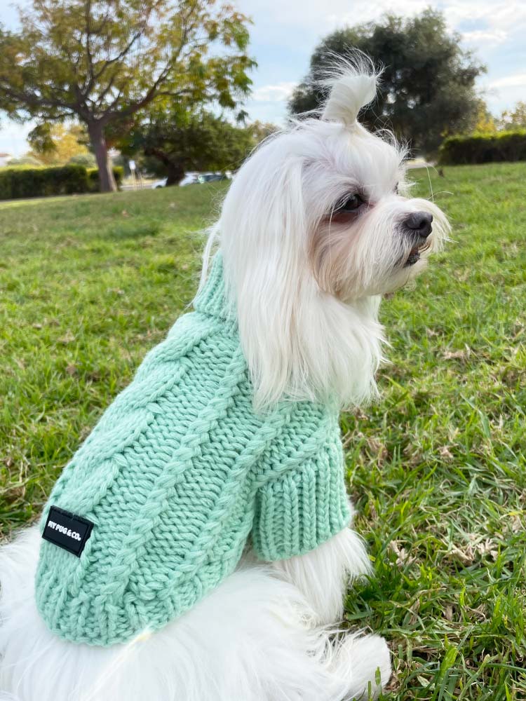 Jersey Menta - MyPug&Co