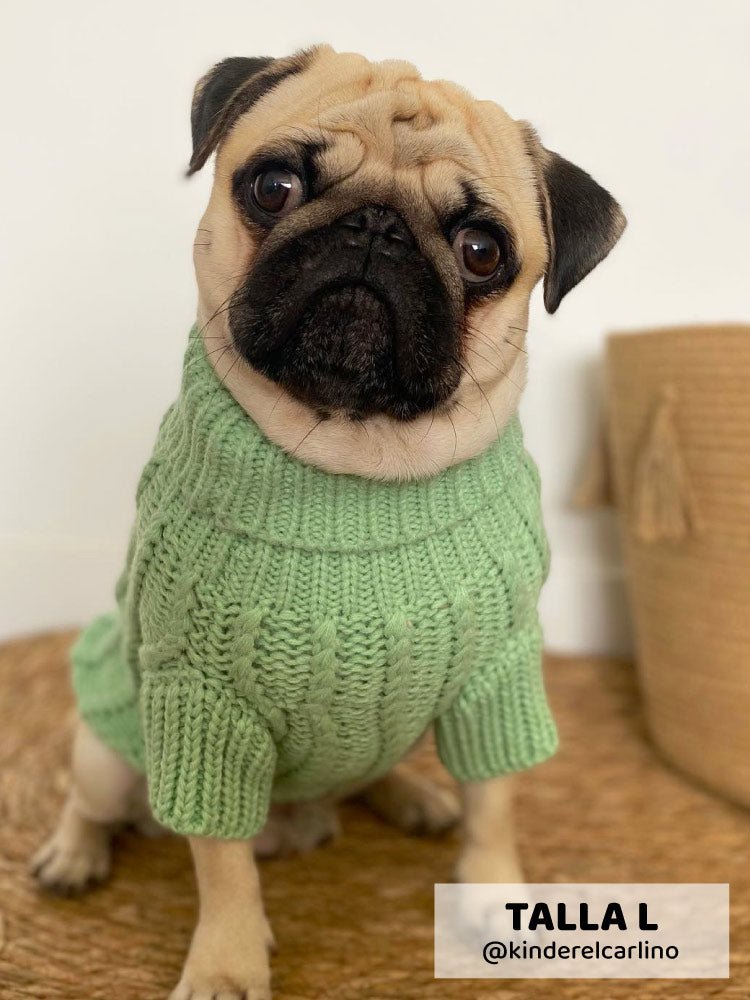 Jersey Menta - MyPug&Co