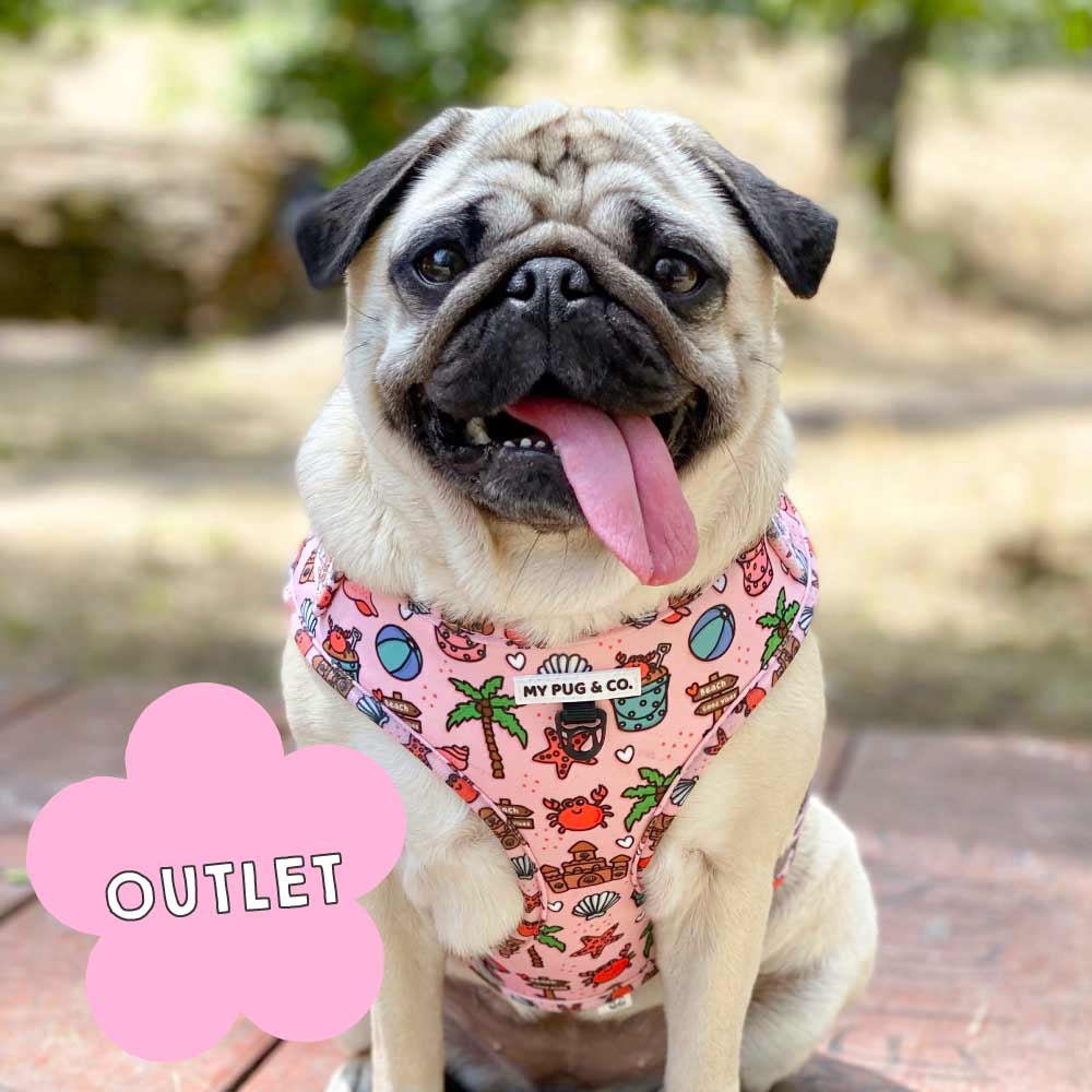 Outlet - MyPug&Co
