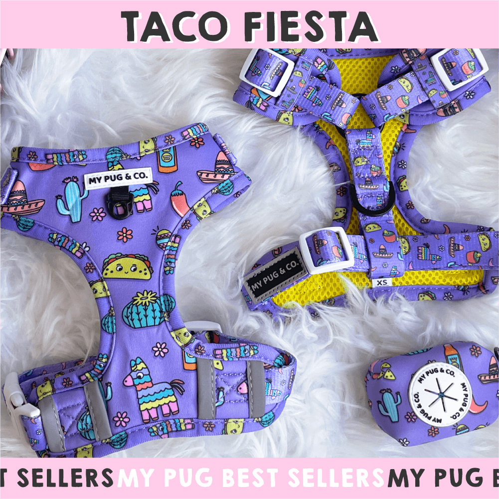 Taco Fiesta Best Sellers - MyPug&Co