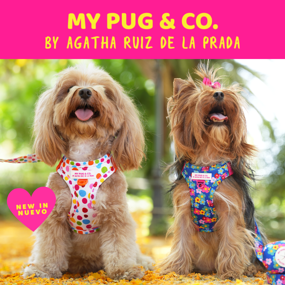 Nueva Colección By Agatha Ruiz de la Prada