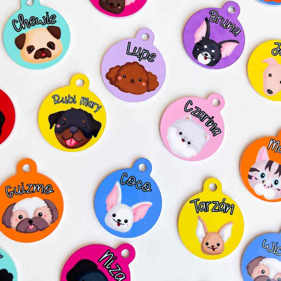 Chapas Identificativas