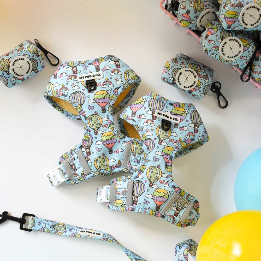 Globos