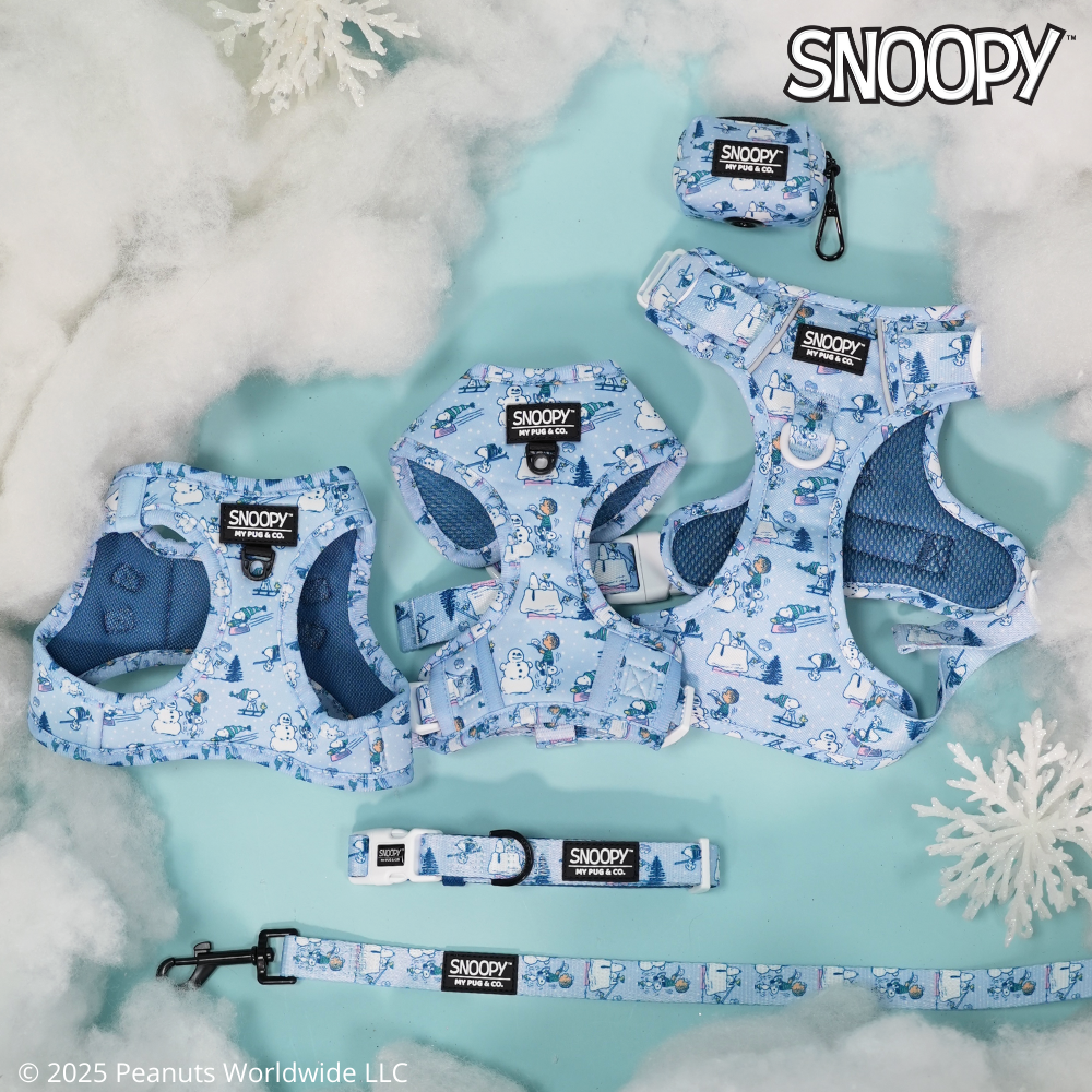 Snoopy™️ x My Pug & Co.