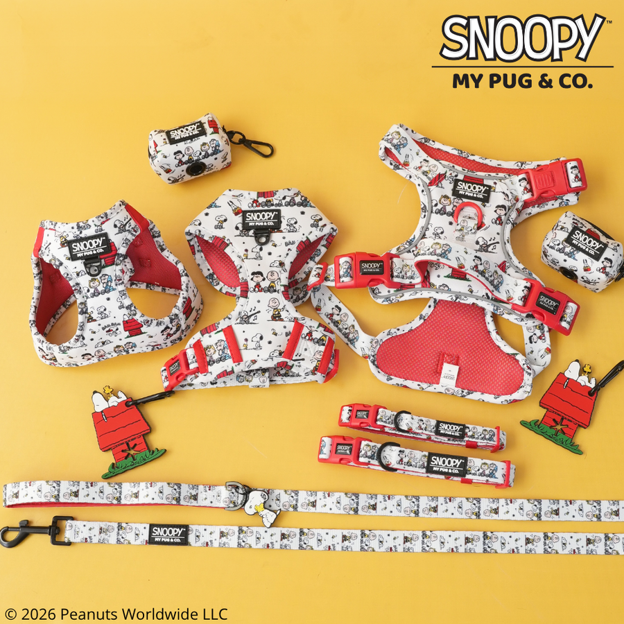Snoopy™