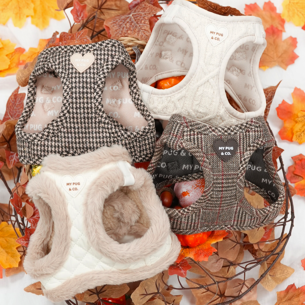 Colección de Otoño