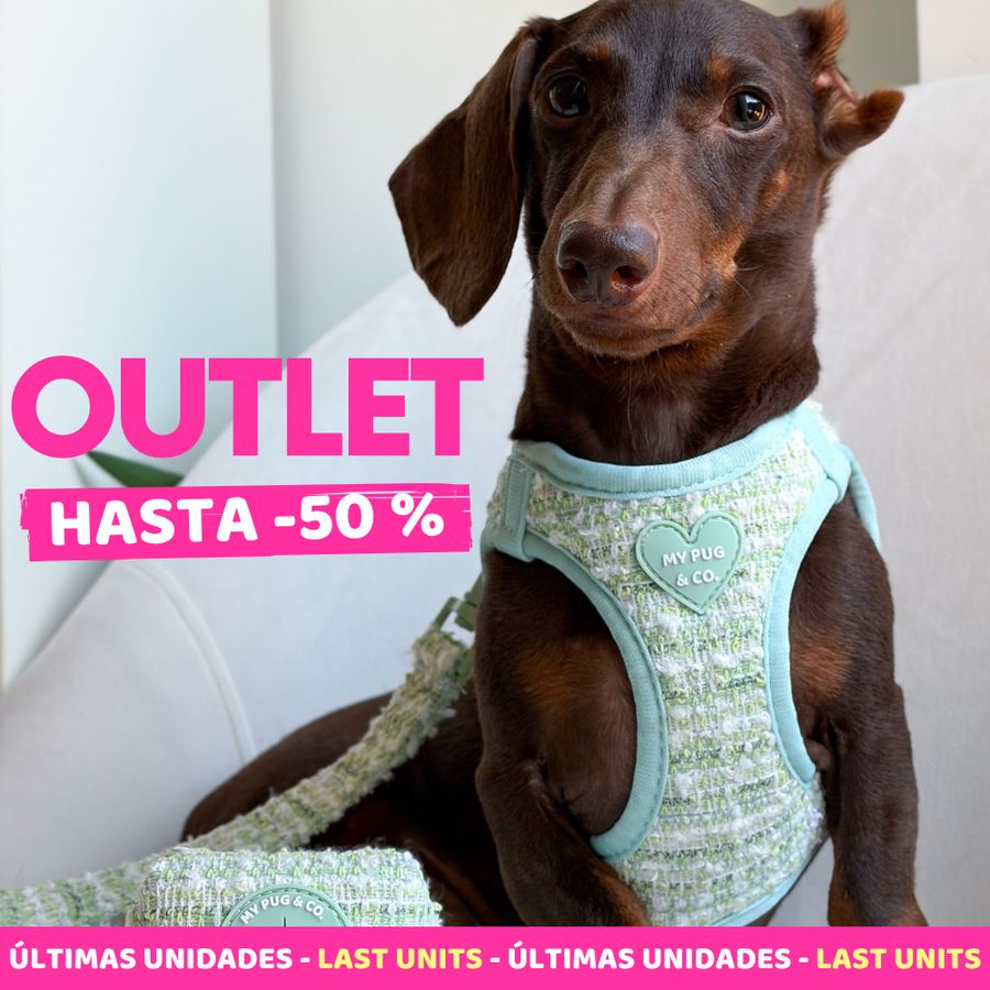 Outlet