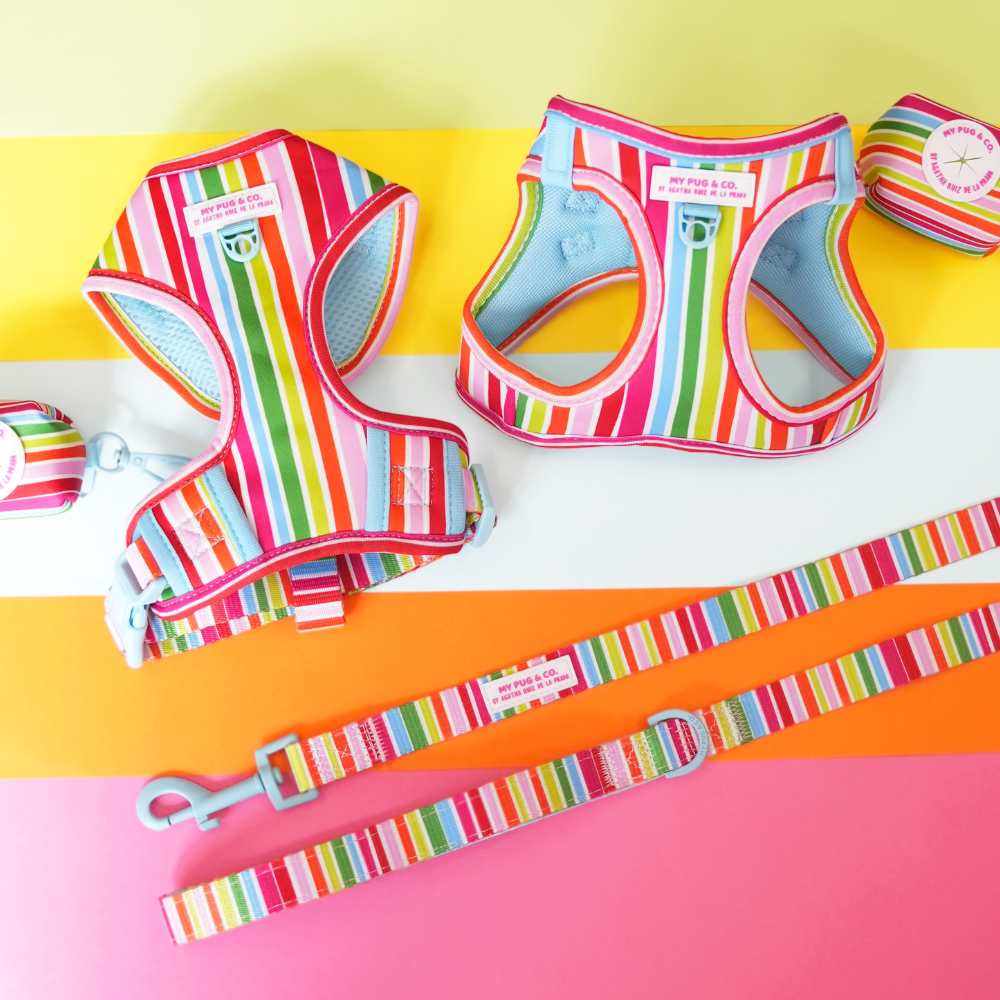 Arco Iris by Agatha Ruiz de la Prada