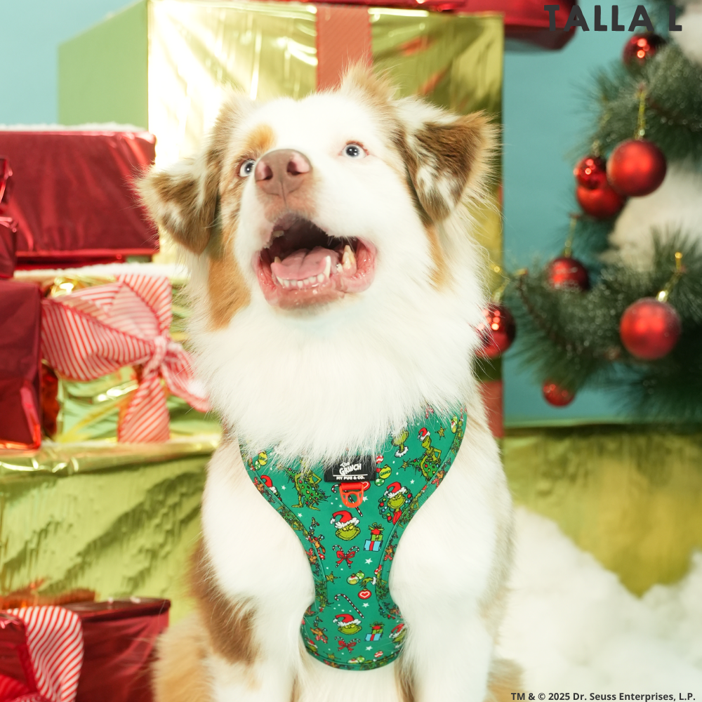 Arnés Ajustable The Grinch Verde