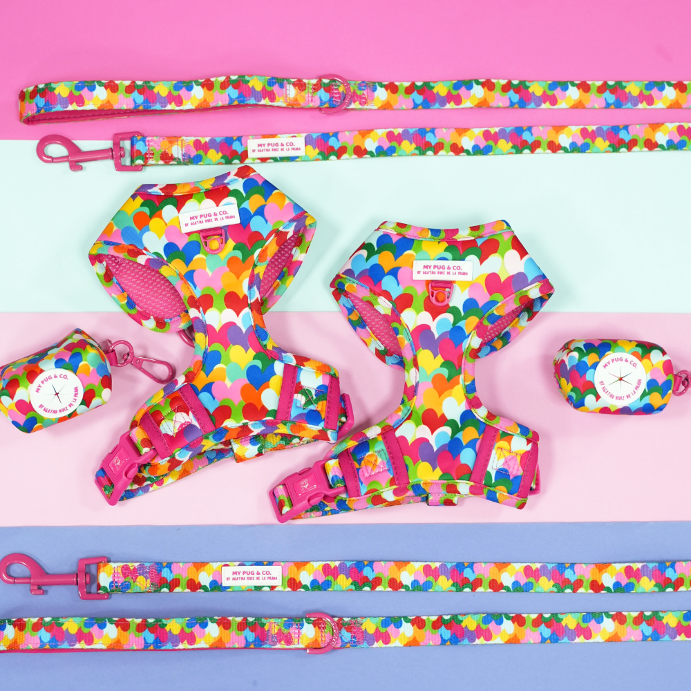 Arnés Ajustable Corazones Pop by Agatha Ruiz de la Prada