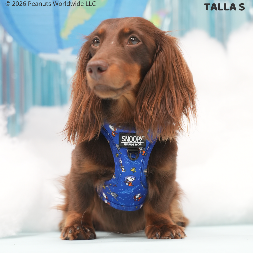 Space Step-in Harness Snoopy™️ 