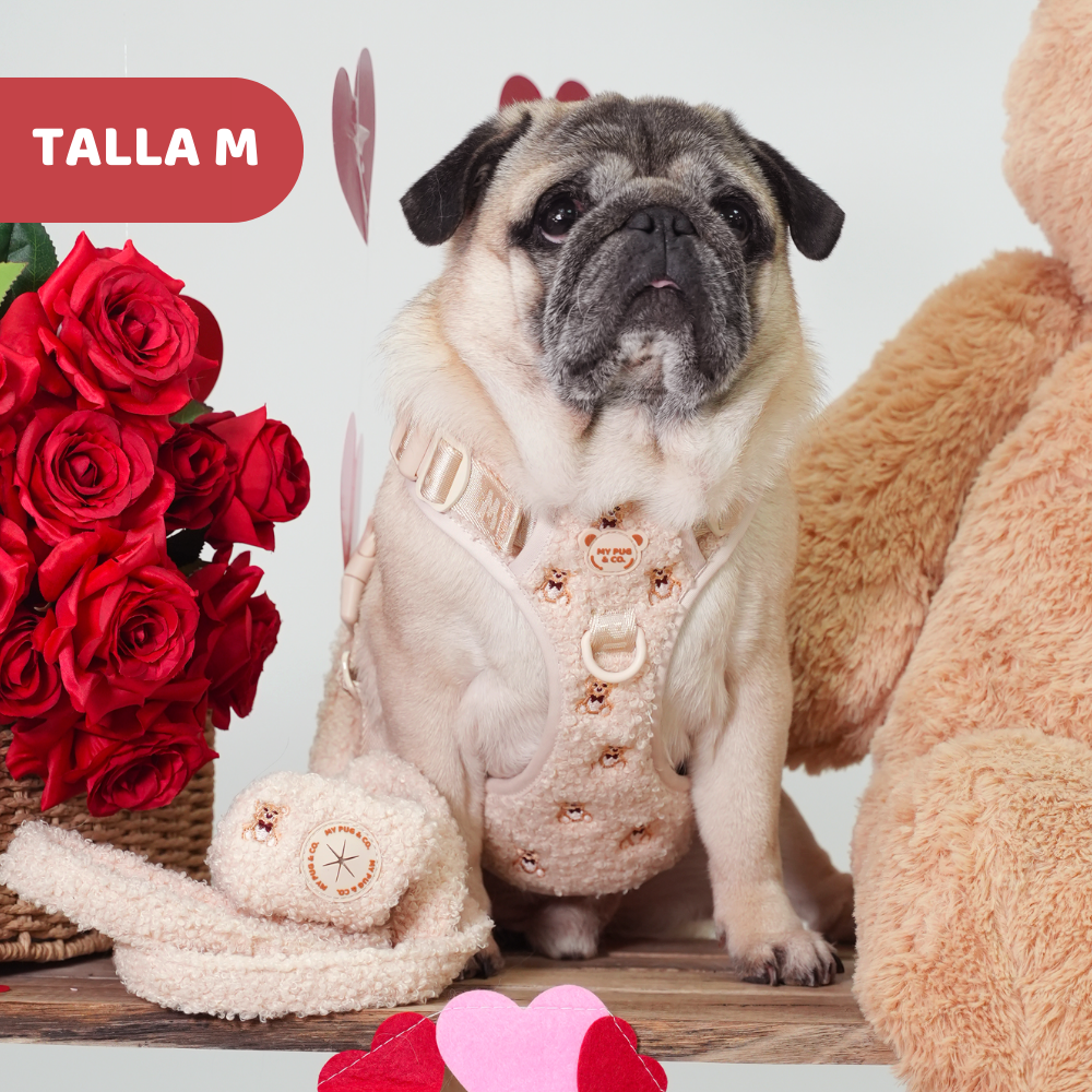 Arnés Todoterreno Teddy