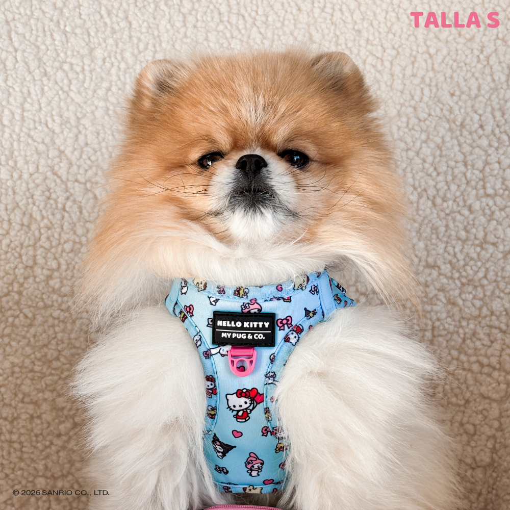 Step-in Hundegeschirr von Hello Kitty and Friends