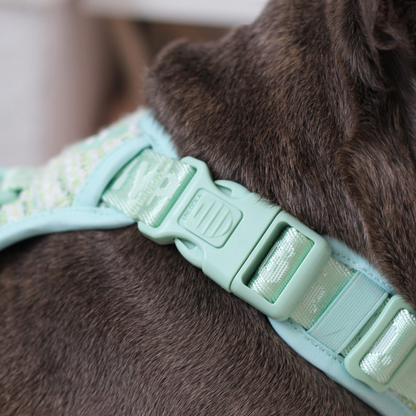  Mint Chic Trail Harness